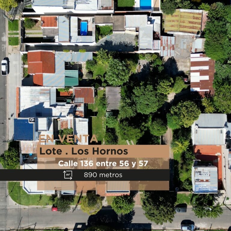 Lote | Los Hornos